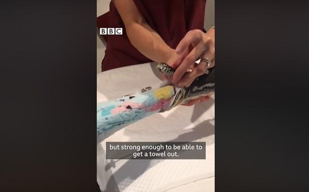 Un sarpe a înghit un prosop, Foto: Captura video