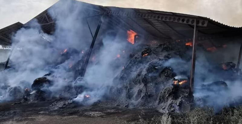 Incendiu Ripiceni, Foto: ISU Botosani