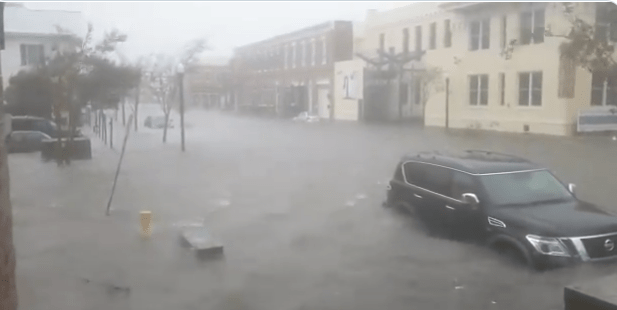 Sally in Florida, Foto: Captura video