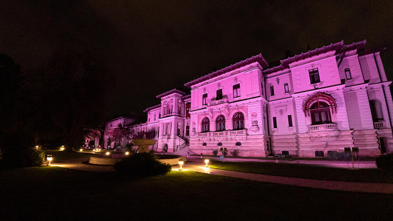 Palatul Cotroceni ilumina, Foto: Presidency.ro