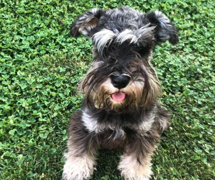 Catel, Foto: Hotnews