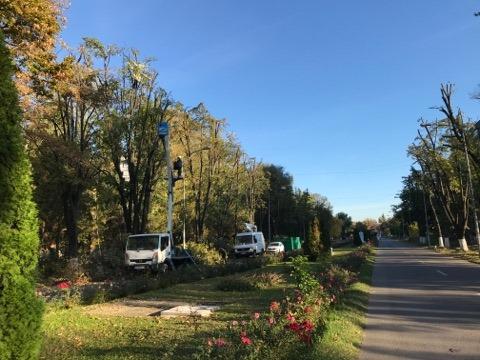 Parc Politehnica Bucuresti, Foto: Facebook/ Salvati Parcul Politehnicii