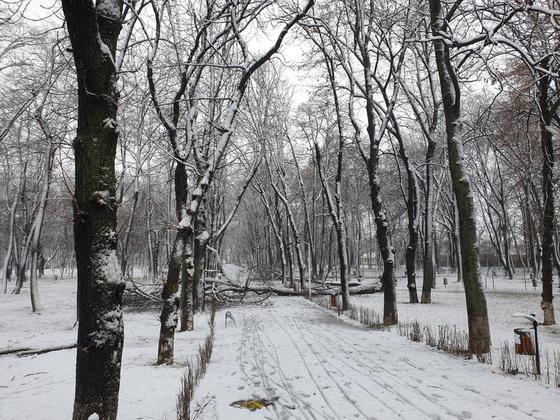 Iarna - zapada, Foto: Hotnews