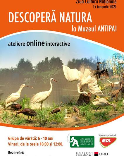 Ateliere online interactive, Foto: Muzeul Antipa