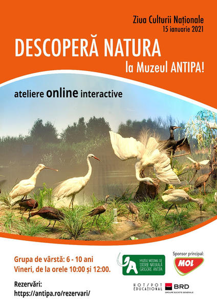Ateliere online interactive, Foto: Muzeul Antipa