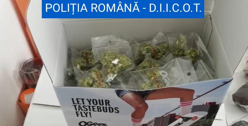 Perchezitii DIICOT, Foto: Captura YouTube