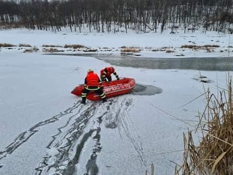 Lebada blocata in gheata salvata, Foto: ISU Suceava