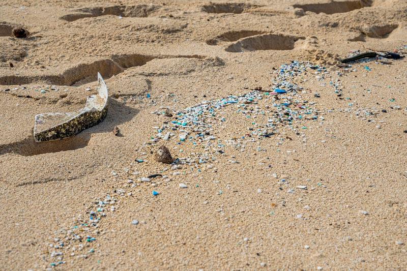 Microplastic, Foto: Nancy Anderson / Alamy / Profimedia Images