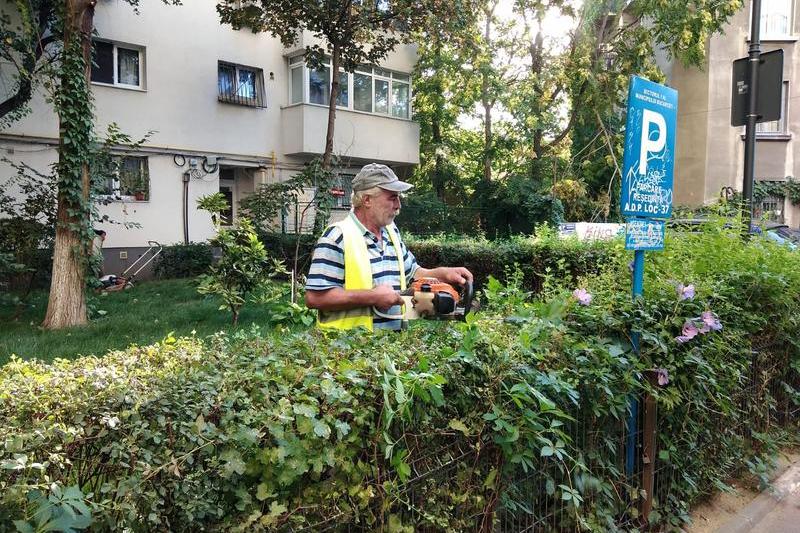 Spatii verzi de langa bloc, Foto: Primaria Sectorului 1