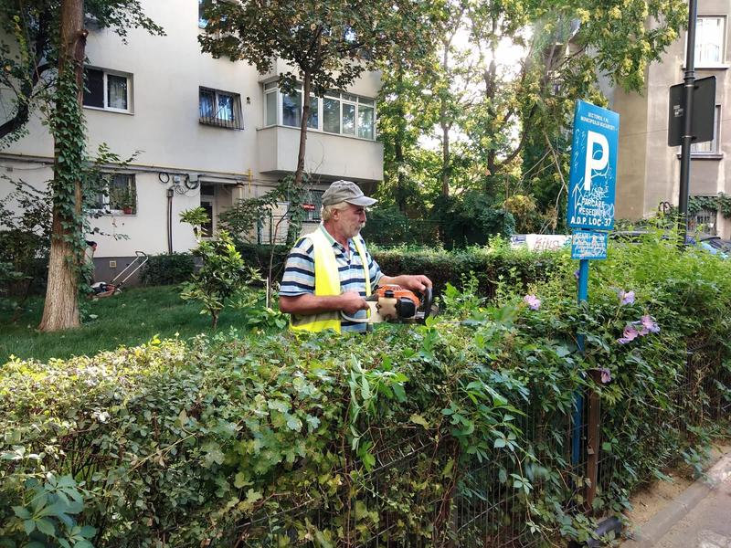 Spatii verzi de langa bloc, Foto: Primaria Sectorului 1