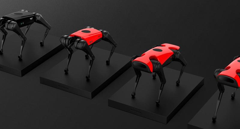 Alpha Dogs, Foto: weilan.com