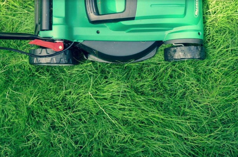 Cum alegi mașina de tuns iarba potrivită pentru nevoile tale, Foto: eMAG