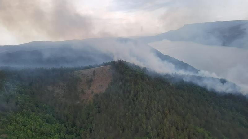 Incendiul din parcul Portile de Fier, Foto: ISU Mehedinti