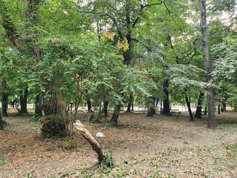 Parcul Cismigiu 15, Foto: Hotnews