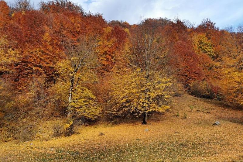Peisaj de toamna, Foto: Adrian Ilincescu/ HotNews.ro
