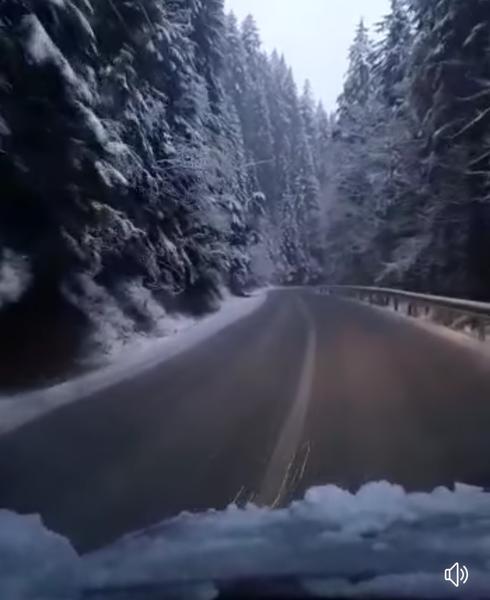 Ninge in Harghita (captura de ecran) , Foto: Hotnews