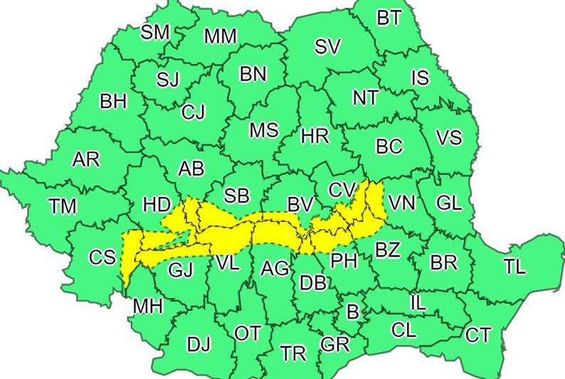 Cod galben ninsori, Foto: ANM