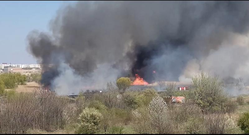 Incendiu Delta Vacaresti, Foto: Captura video