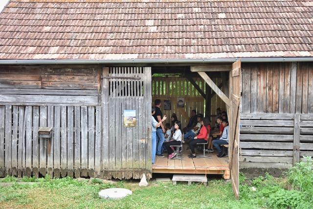 Cinematograful din șură, Foto: Astra Film