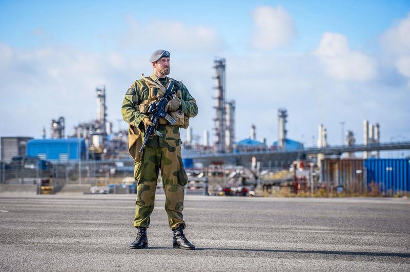 Soldat al armatei norvegiene, Foto: NTB Scanpix / Alamy / Alamy / Alamy / Profimedia