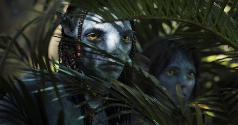 Avatar, Foto: Walt Disney Studios Motion Pictures - 20th Century Studios - TSG Entertainment - Lightstorm Entertainment / Christophel Collection / Profimedia