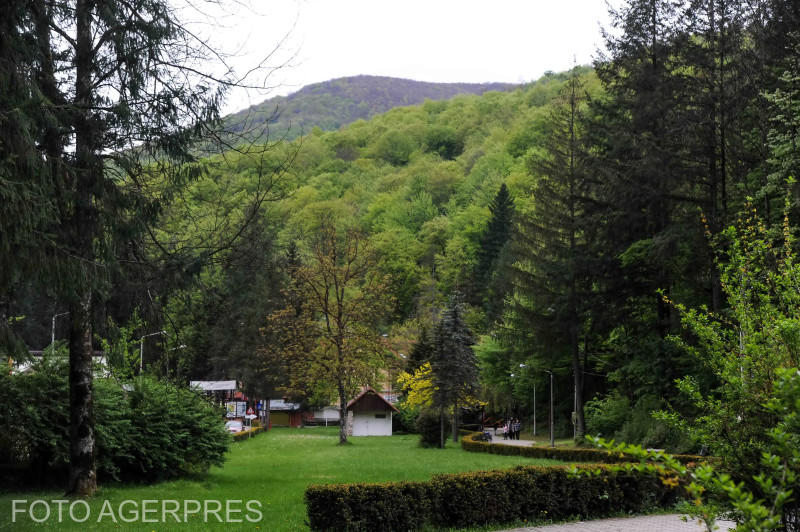 Statiunea Moneasa, Foto: Agerpress