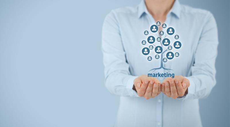 Cum să economisești timp și bani cu Publyo™ PRO și Publyo™ Marketplace ca specialist în marketing? , Foto: Publyo