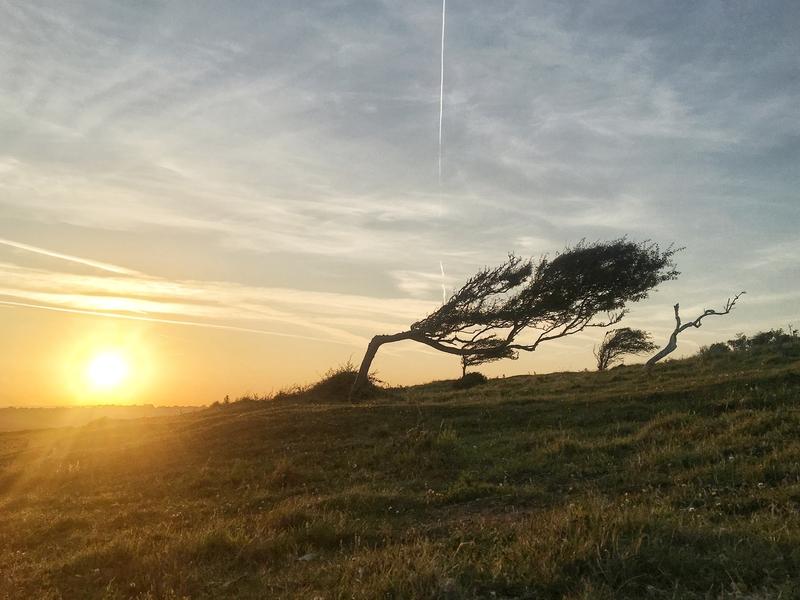 Avertizare de vânt puternic. Foto: Wirestock / DreamsTime.com