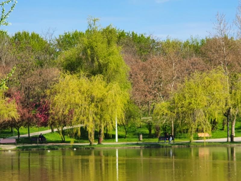 Parcul IOR primăvara, Foto: HotNews/Catiusa Ivanov