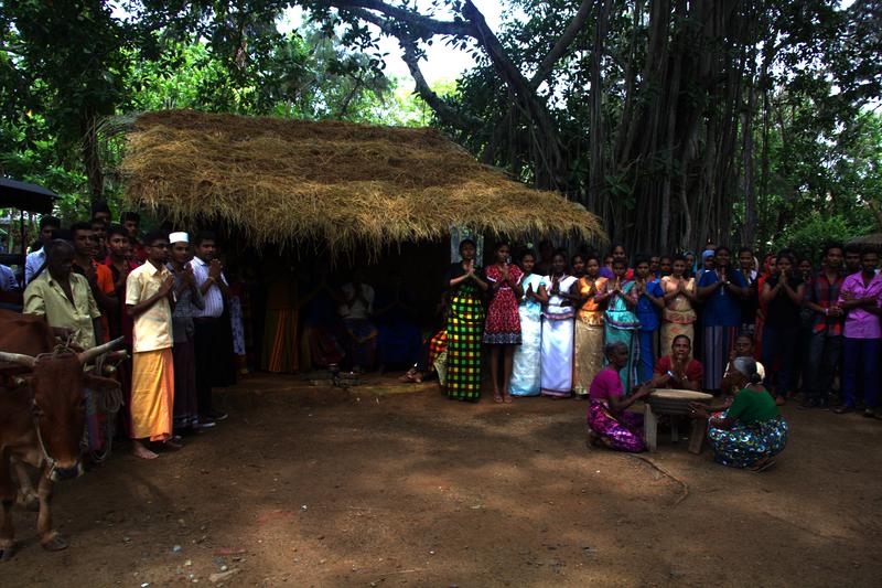 Petrecere Sri Lanka, Foto: Gihan Hettiarachchi | Dreamstime.com