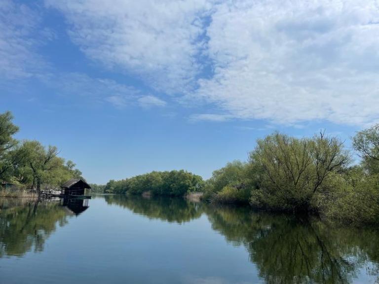 Delta Dunării, Foto: HotNews.ro/ Ana Tepșanu