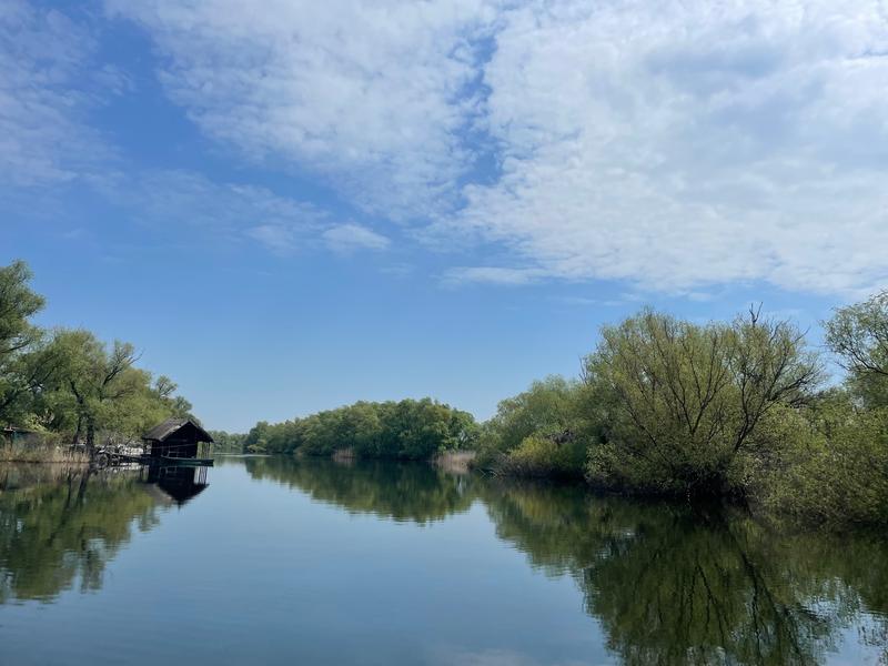 Delta Dunării, Foto: HotNews.ro/ Ana Tepșanu