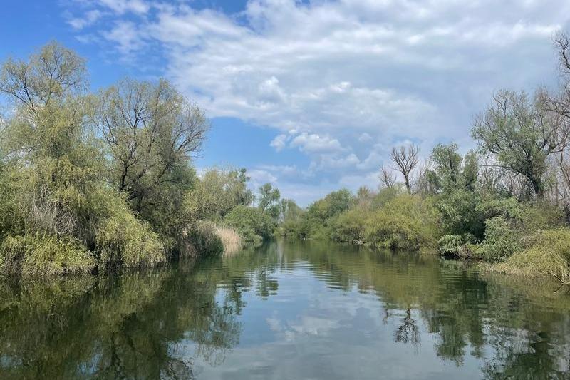 Delta Dunării, Foto: HotNews.ro/ Ana Tepșanu