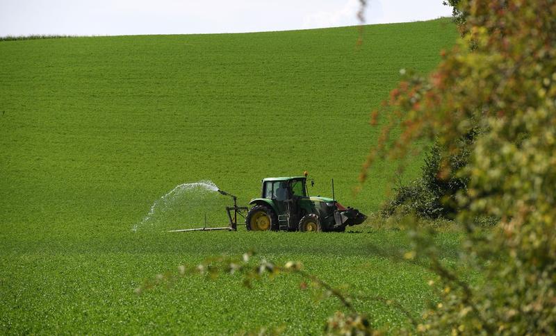 Agricultura, Foto: MOURAD ALLILI MOURAD / Sipa Press / Profimedia