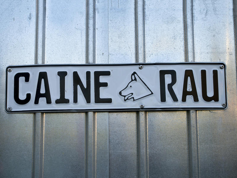 Avertisment „Câine rău”, Foto: Ciolca | Dreamstime.com