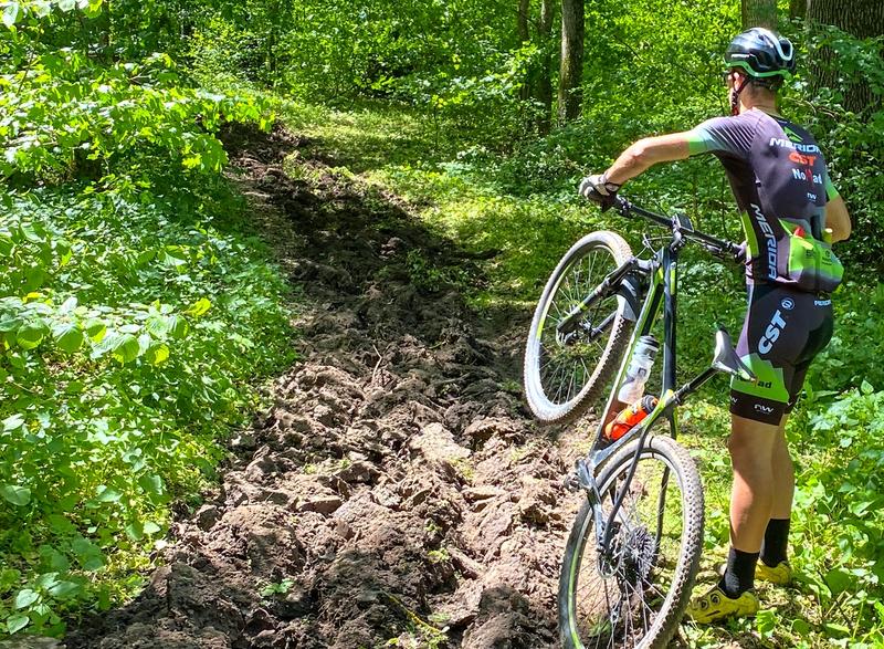 Poteca arata intr-o padure de langa Bucuresti, Foto: Platforma civică Împreună pentru Centura Verde
