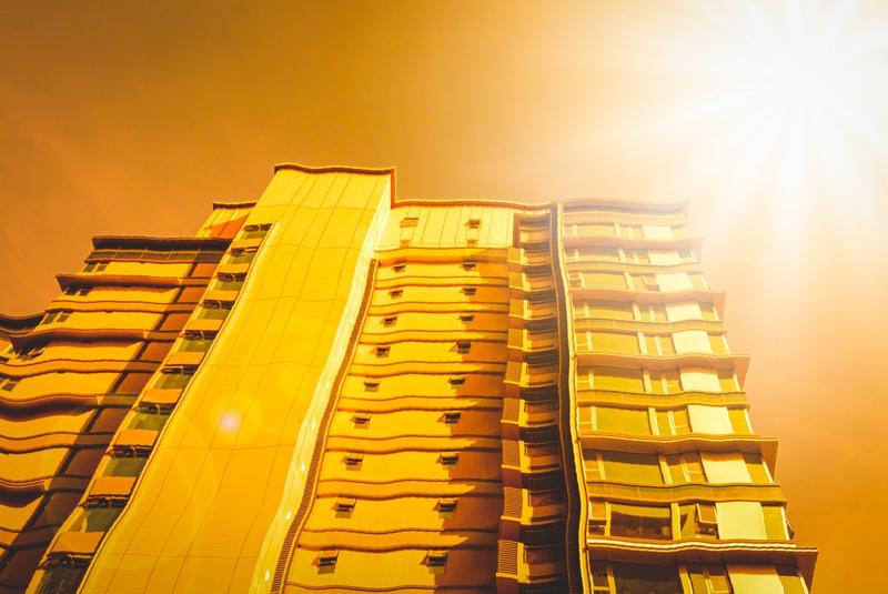 Canicula, Foto: Shutterstock