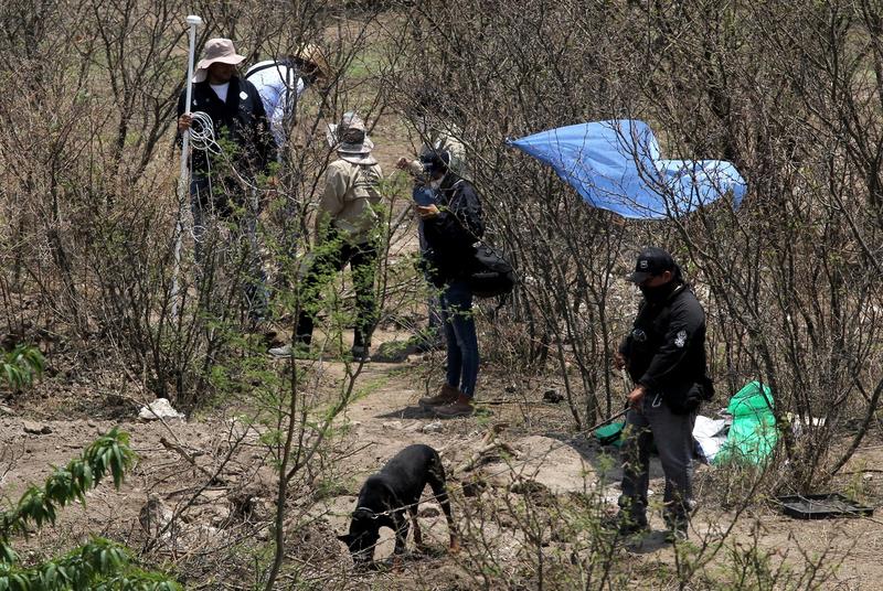 Poliția din Mexic la scena unei crime, Foto: Ulises Ruiz / AFP / Profimedia