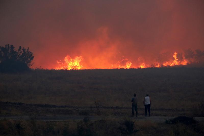 Incendiu de vegetatie in Alexandroupolis, Grecia, Foto: Ilias Kotsireas / AP / Profimedia