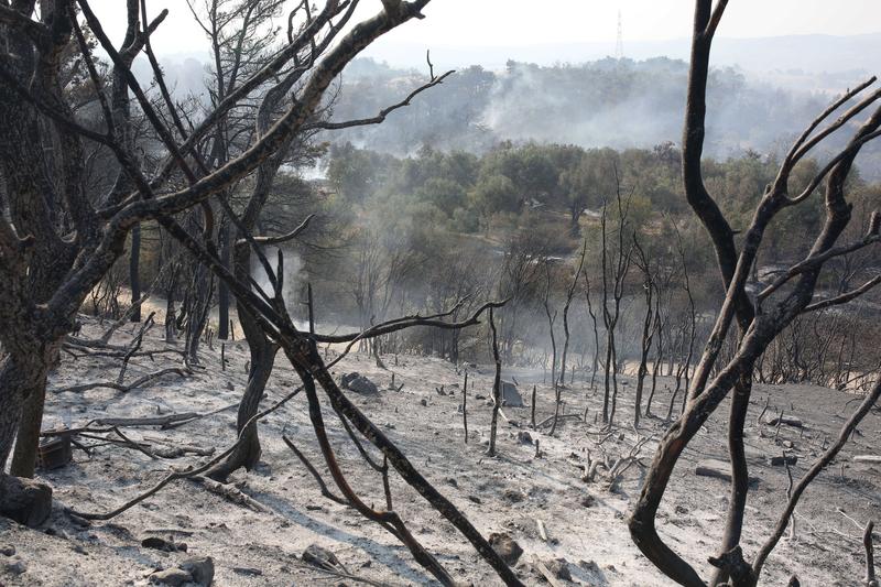 incendii Turcia, Foto: Depo Photos/ABACA / Abaca Press / Profimedia