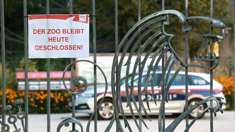 Gradina zoologica a fost inchisa pe perioada investigatiilor, Foto: Franz Neumayr / AFP / Profimedia Images