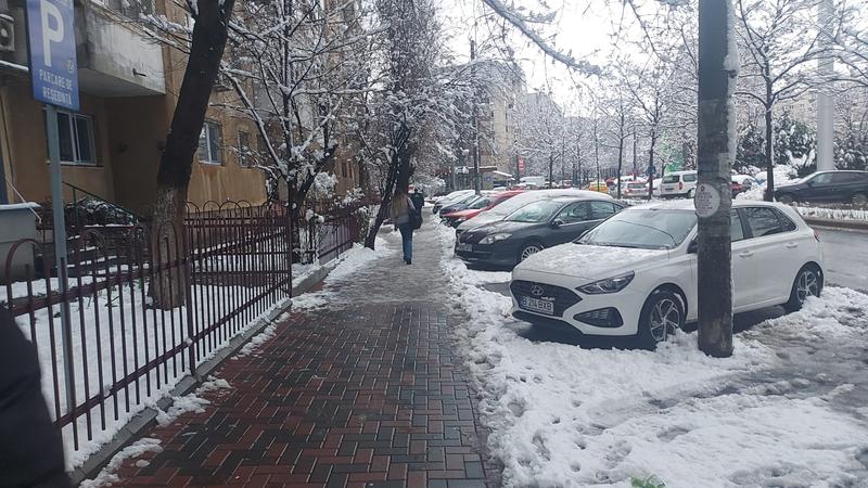 Iarină, București, Foto: David Leonard Bularca / HotNews