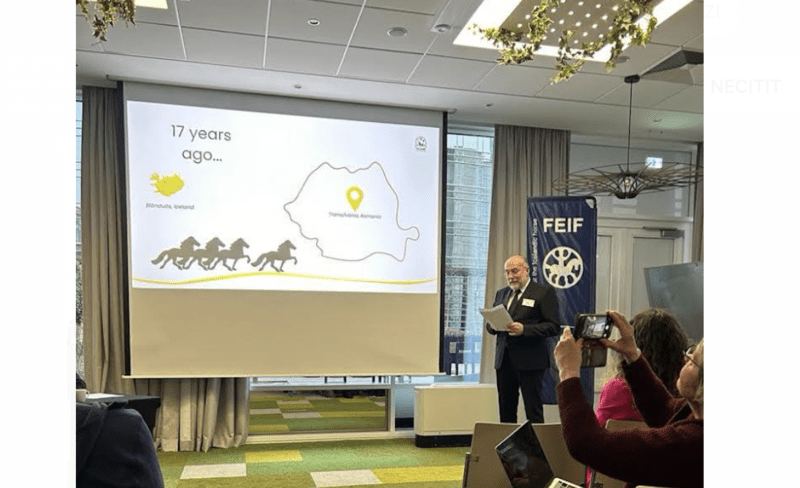 Asociația Prietenilor Cailor Islandezi din România, acceptată în Federația Internațională a Iubitorilor de Cai Islandezi (FEIF), Foto: FEIF