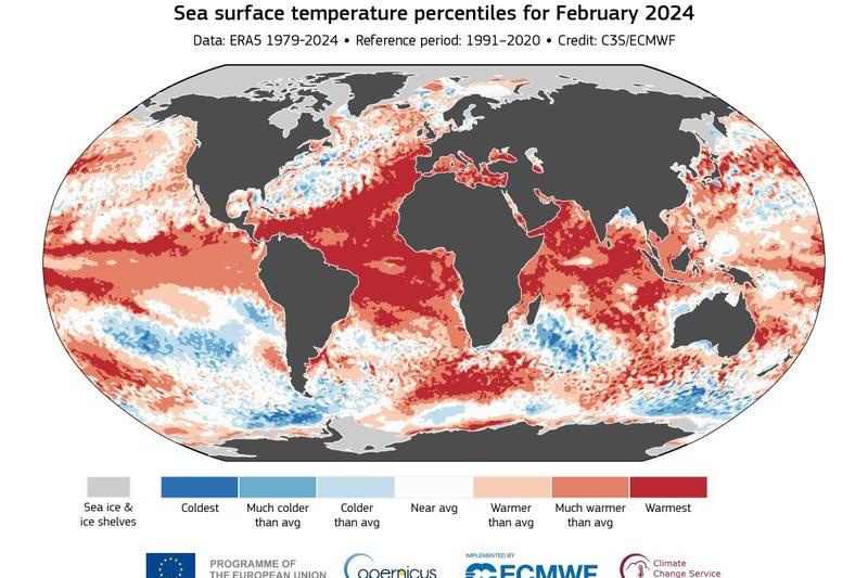 Temperaturile medii ale oceanelor in februarie 2024, Foto: Copernicus Climate Change Service