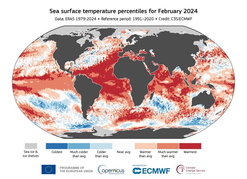 Temperaturile medii ale oceanelor in februarie 2024, Foto: Copernicus Climate Change Service