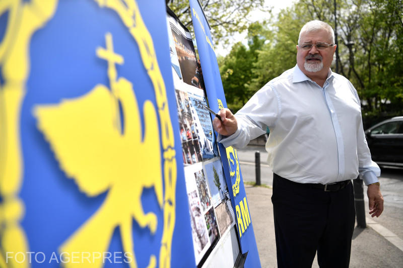 Dorel Onaca e candidatul PRM la Primăria Capitalei, Foto: Agerpres