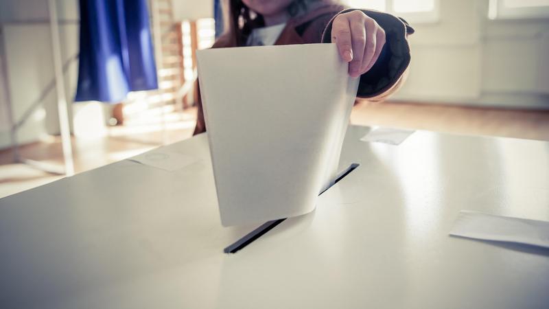 La vot, Foto: Alexandru Nika / Alamy / Profimedia Images