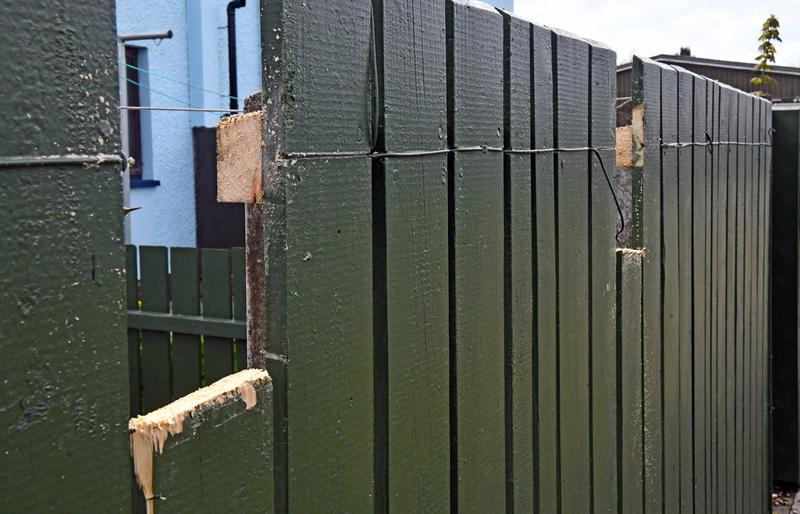 gard Irlanda de Nord, Foto: Profimedia