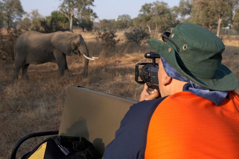 Un turist a fost ucis de elefanți în Parcul Naţional Pilanesberg după ce s-a oprit să le facă fotografii