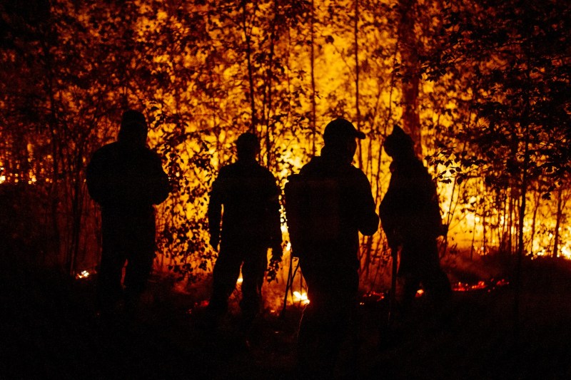 VIDEO Suprafață imensă de pădure mistuită de incendii în Siberia. Peste 50 de localități au fost afectate de fumul emanat